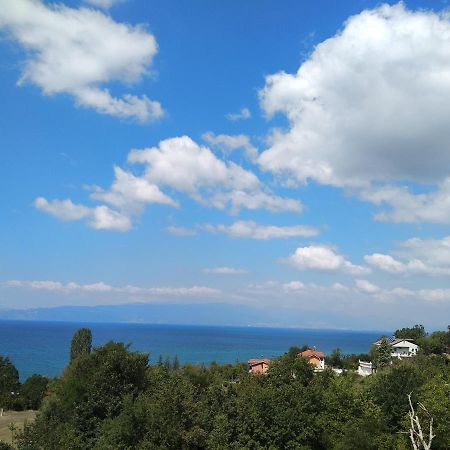 The Brothers Villa Hotel Ohri Dış mekan fotoğraf