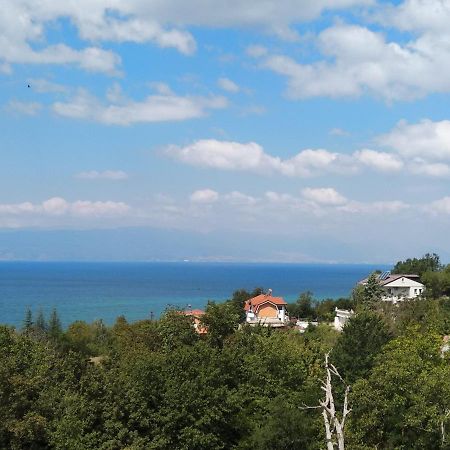 The Brothers Villa Hotel Ohri Dış mekan fotoğraf