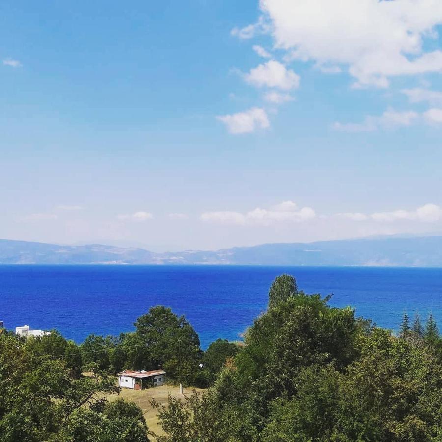 The Brothers Villa Hotel Ohri Dış mekan fotoğraf