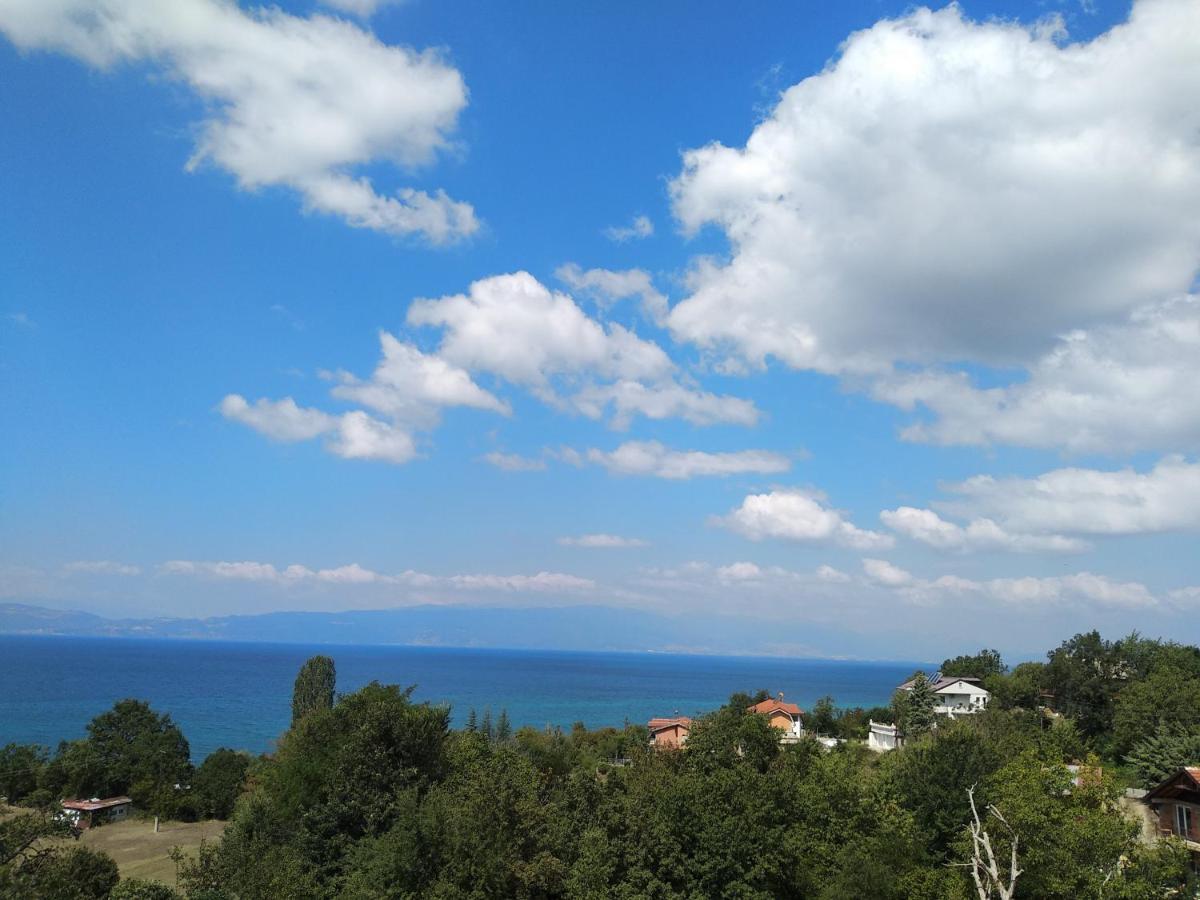 The Brothers Villa Hotel Ohri Dış mekan fotoğraf