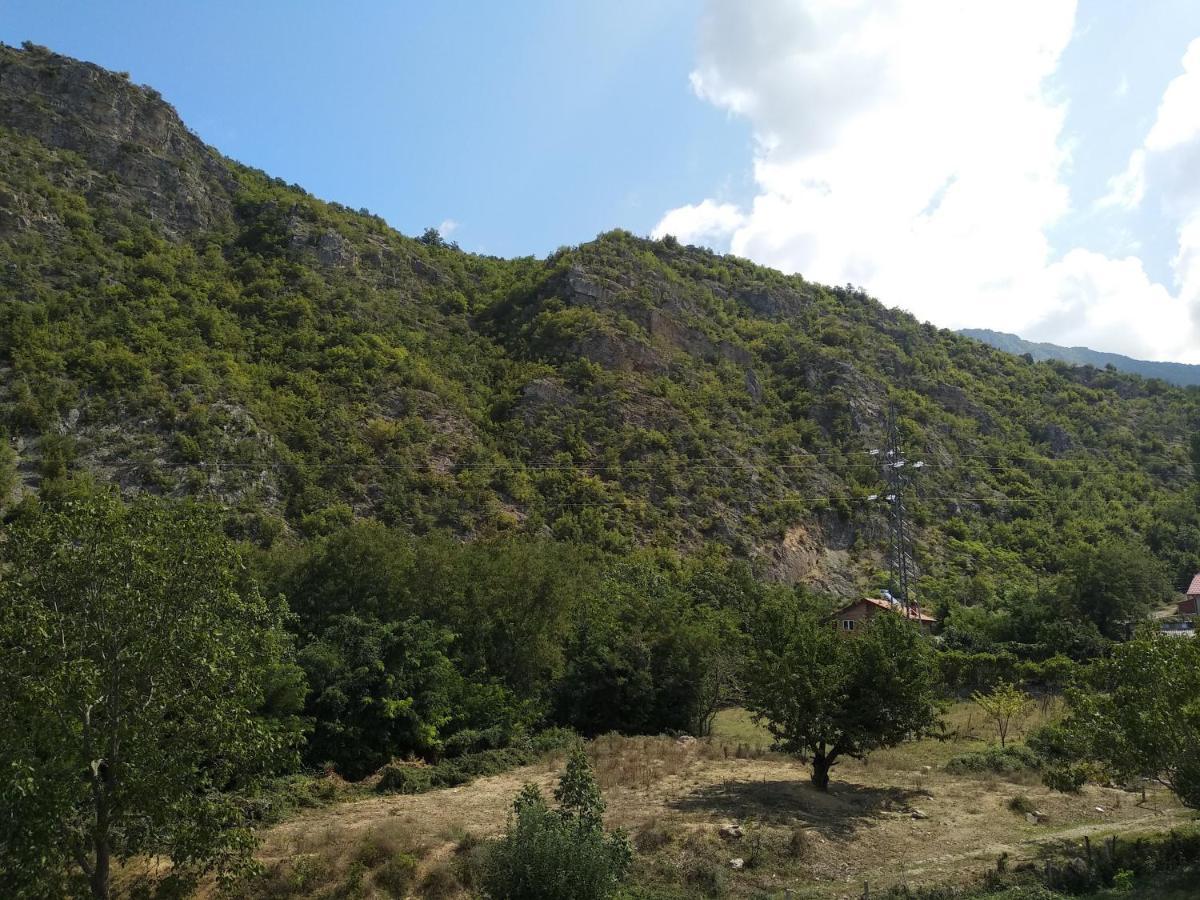 The Brothers Villa Hotel Ohri Dış mekan fotoğraf
