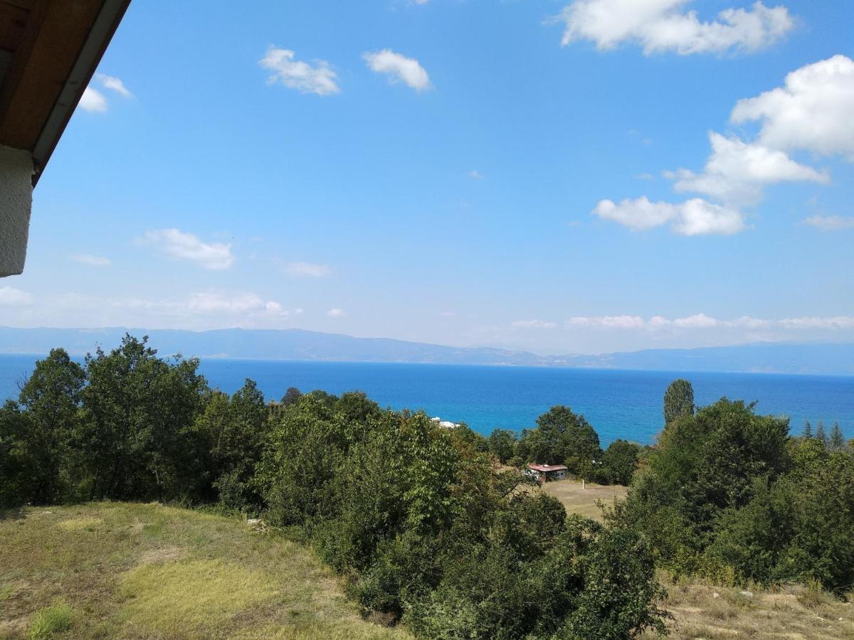 The Brothers Villa Hotel Ohri Dış mekan fotoğraf